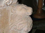 lion on the font