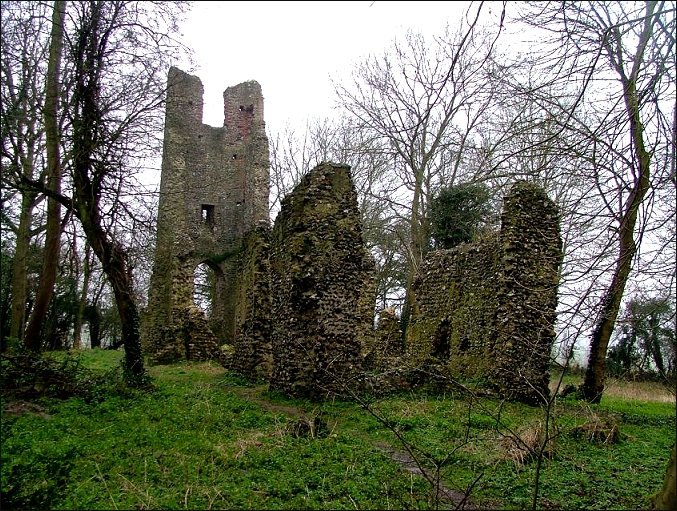 Saxlingham Thorpe: lost in the woods