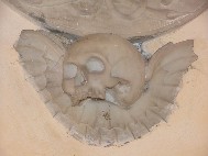 winged skull
