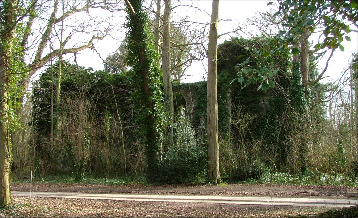 East Somerton: perhaps the most dramatic church ruin in all East Anglia