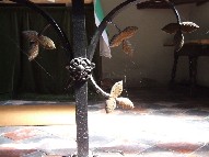 altar rails