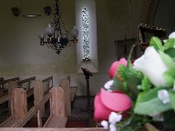 chandelier and plastic flowers