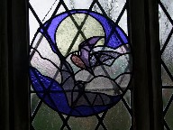 swallow and a bat
