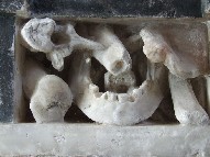 charnel cage