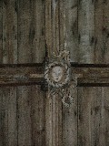crown of thorns