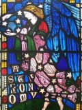 Astronomy (NOT St Romona, silly)