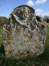 cherub and lichen