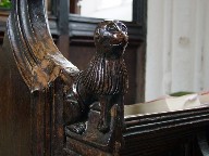 lion