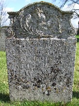 Ann Johnson