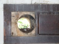 pigeon nest in a squint