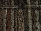 angel in the roof