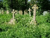 Warham, early May 2005