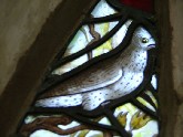 a waxwing?