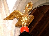 gilt pelican