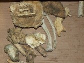 old bones