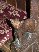 pig