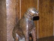 bear in a collar
