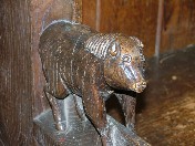 pig in a wig - or a badger?