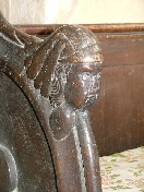 head on armrest of stall